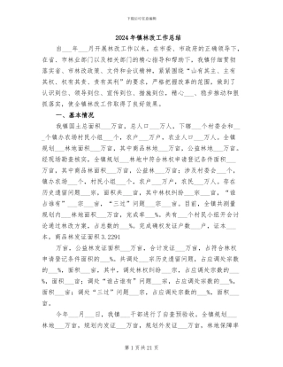2024年镇林改工作总结