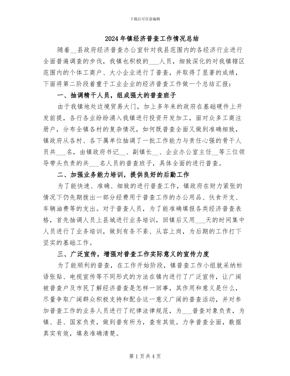 2024年镇经济普查工作情况总结_第1页