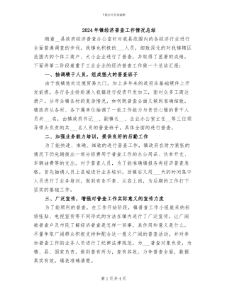 2024年镇经济普查工作情况总结