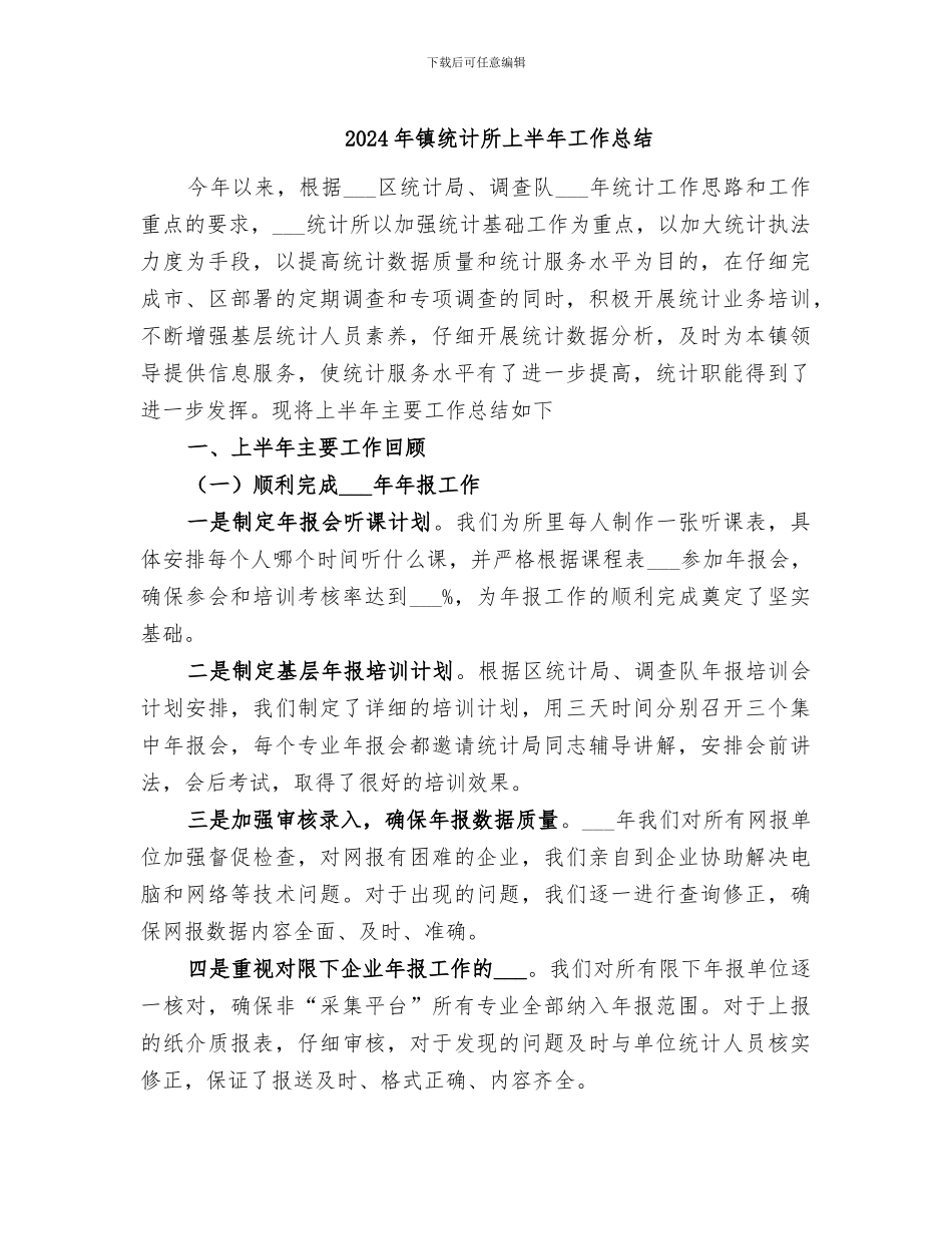 2024年镇统计所上半年工作总结_第1页