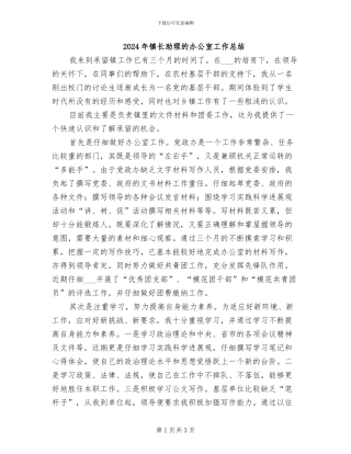 2024年镇长助理的办公室工作总结