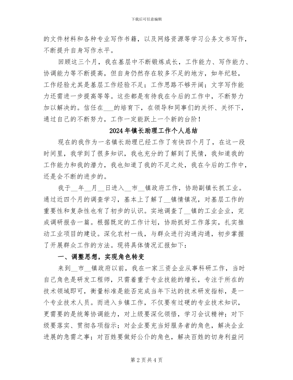 2024年镇长助理办公室工作总结_第2页