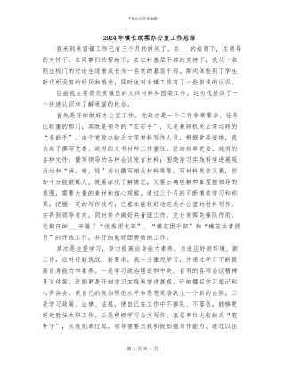 2024年镇长助理办公室工作总结