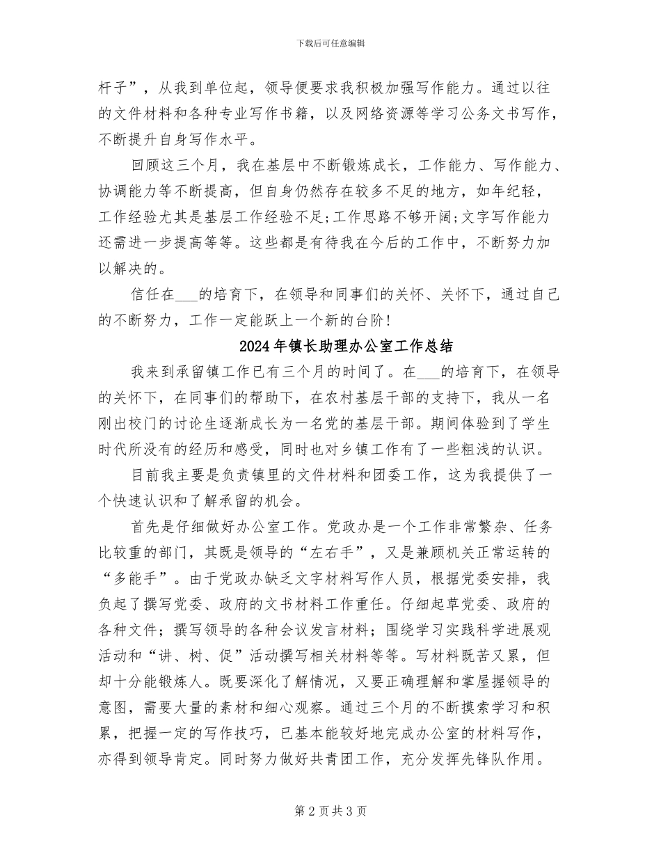 2024年镇长助理个人工作总结_第2页