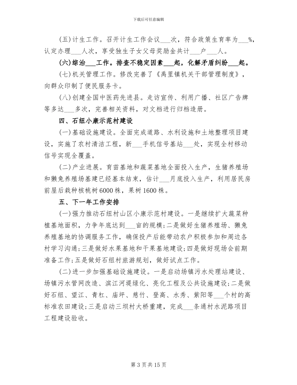 2024年镇长年终总结_第3页