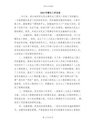 2024年镇长工作总结