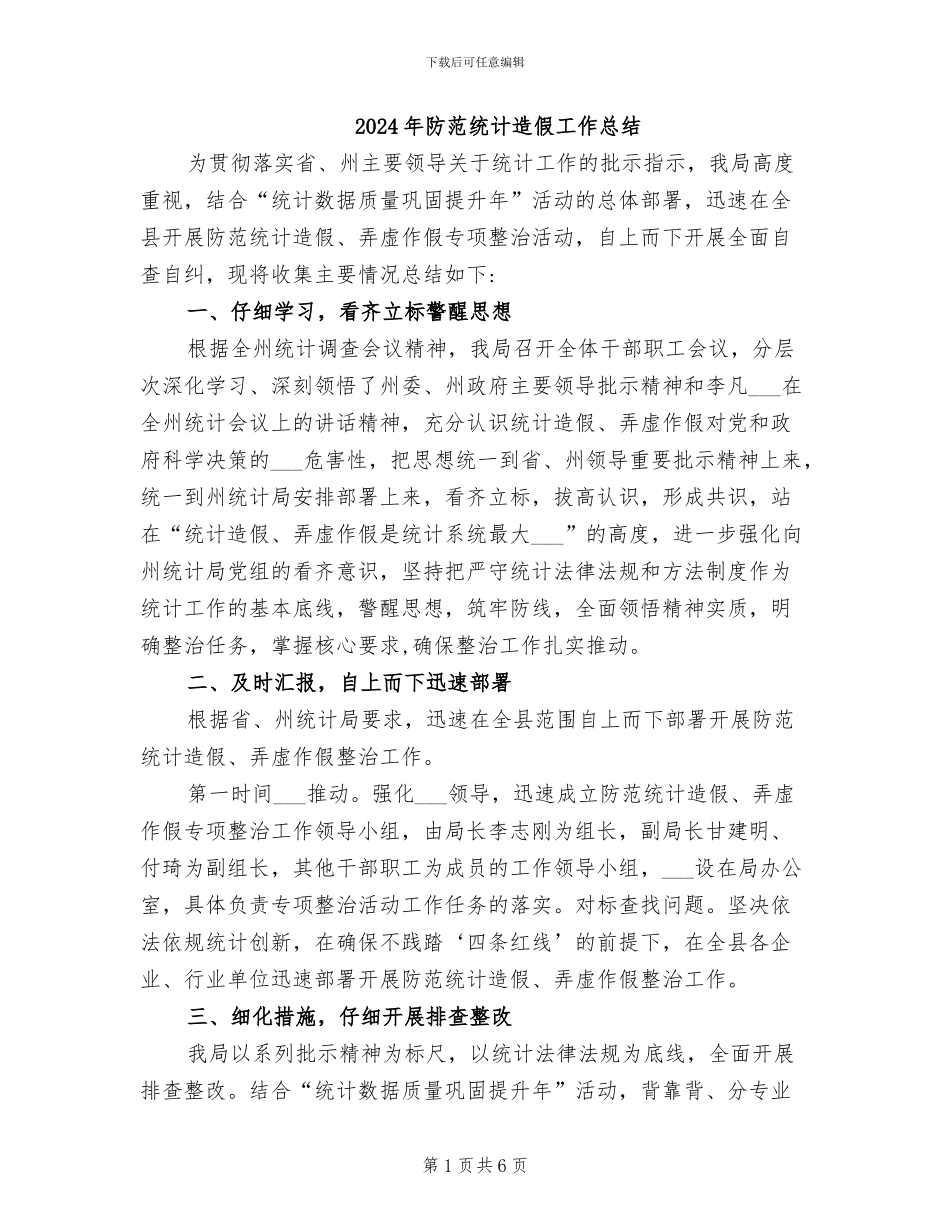 2024年防范统计造假工作总结_第1页