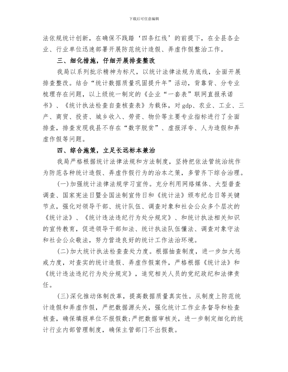2024年防范统计造假专项整治总结_第3页