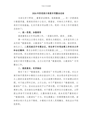 2024年防范统计造假专项整治总结