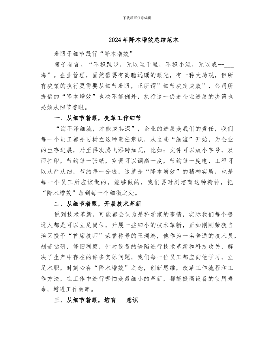 2024年降本增效总结范本_第1页