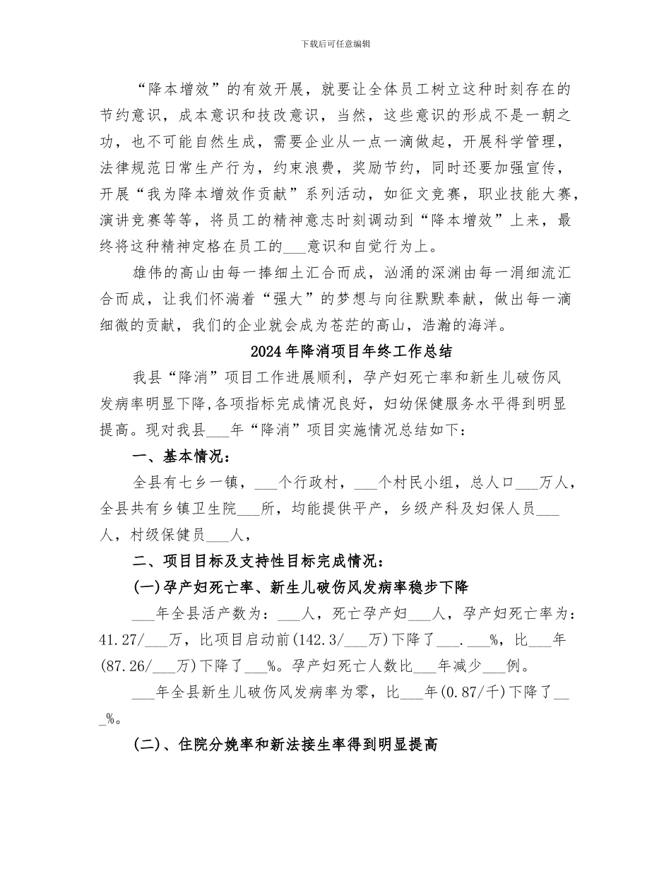 2024年降本增效总结范本_第2页