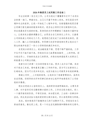 2024年集团员工试用期工作总结二