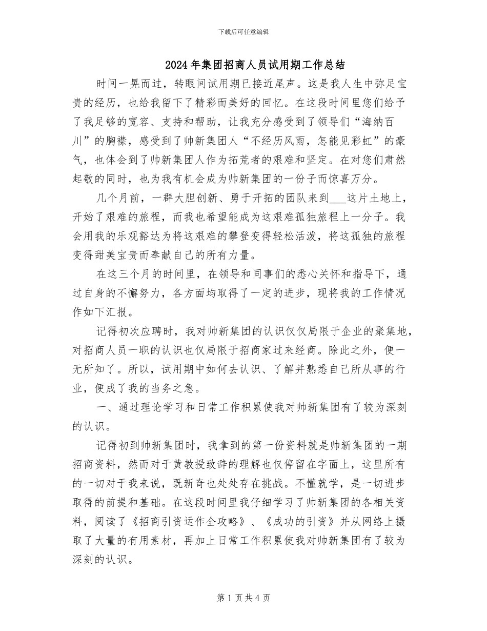 2024年集团招商人员试用期工作总结_第1页