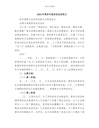 2024年青协年度活动总结范文