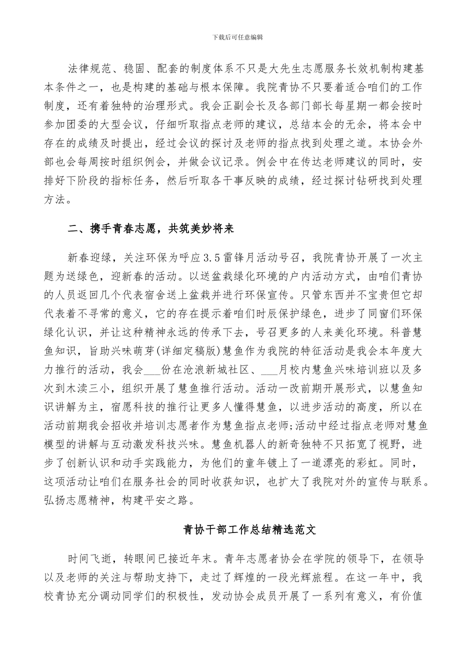 2024年青协干部工作总结精选范文_第2页