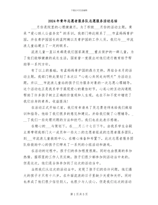 2024年青年志愿者服务队志愿服务活动总结