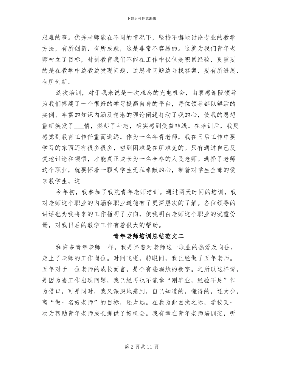 2024年青年教师培训总结语文_第2页