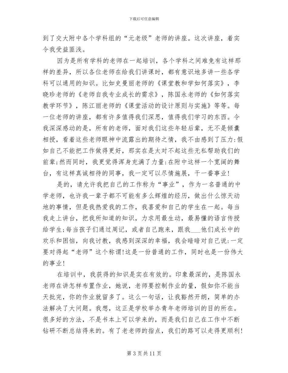 2024年青年教师培训总结语文_第3页