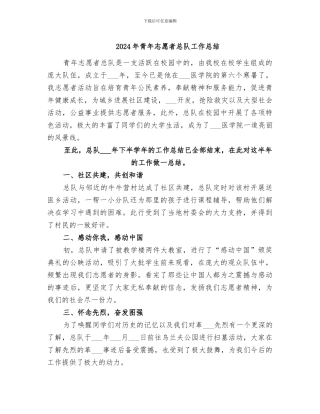 2024年青年志愿者总队工作总结
