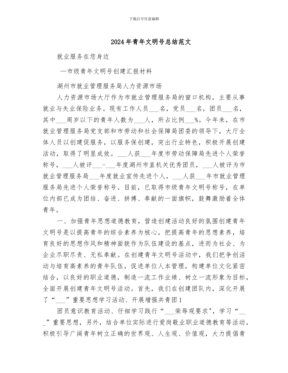 2024年青年文明号总结范文_第1页