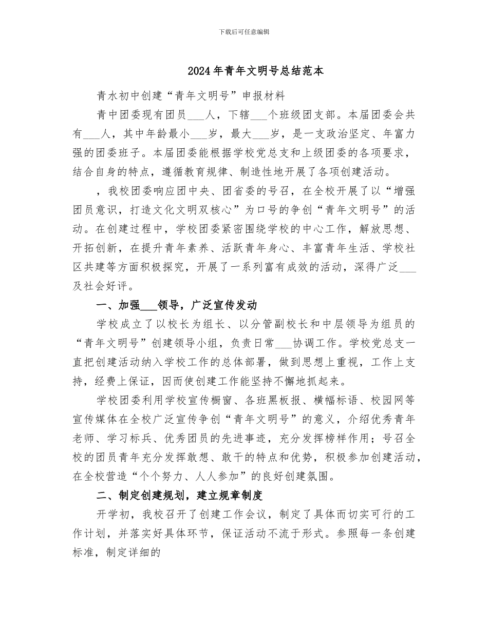 2024年青年文明号总结范本_第1页