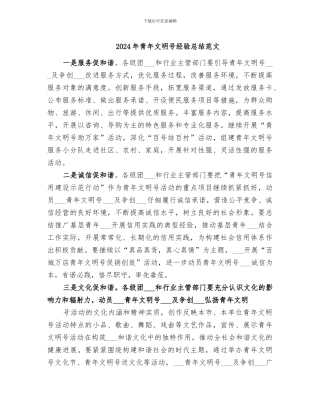 2024年青年文明号经验总结范文