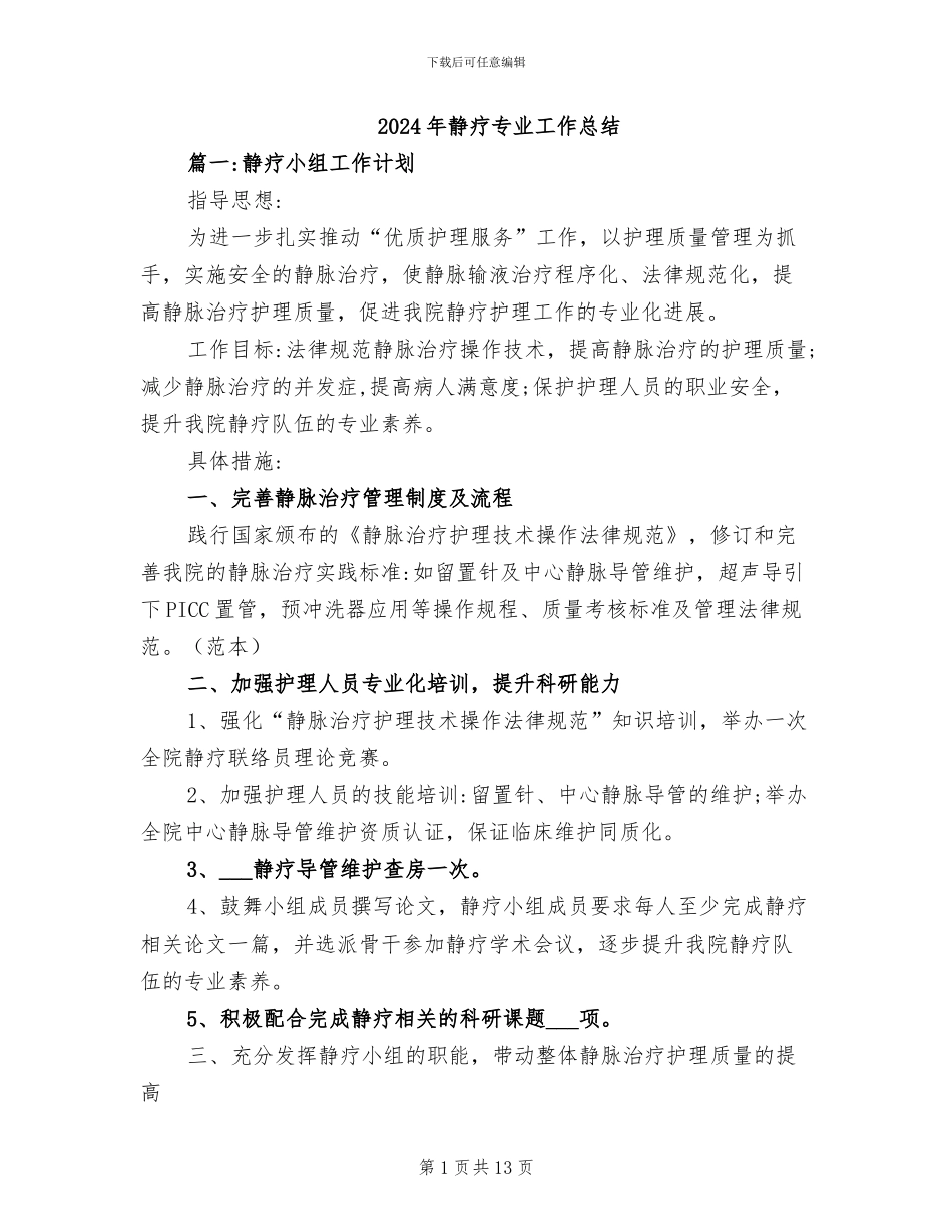 2024年静疗专业工作总结_第1页