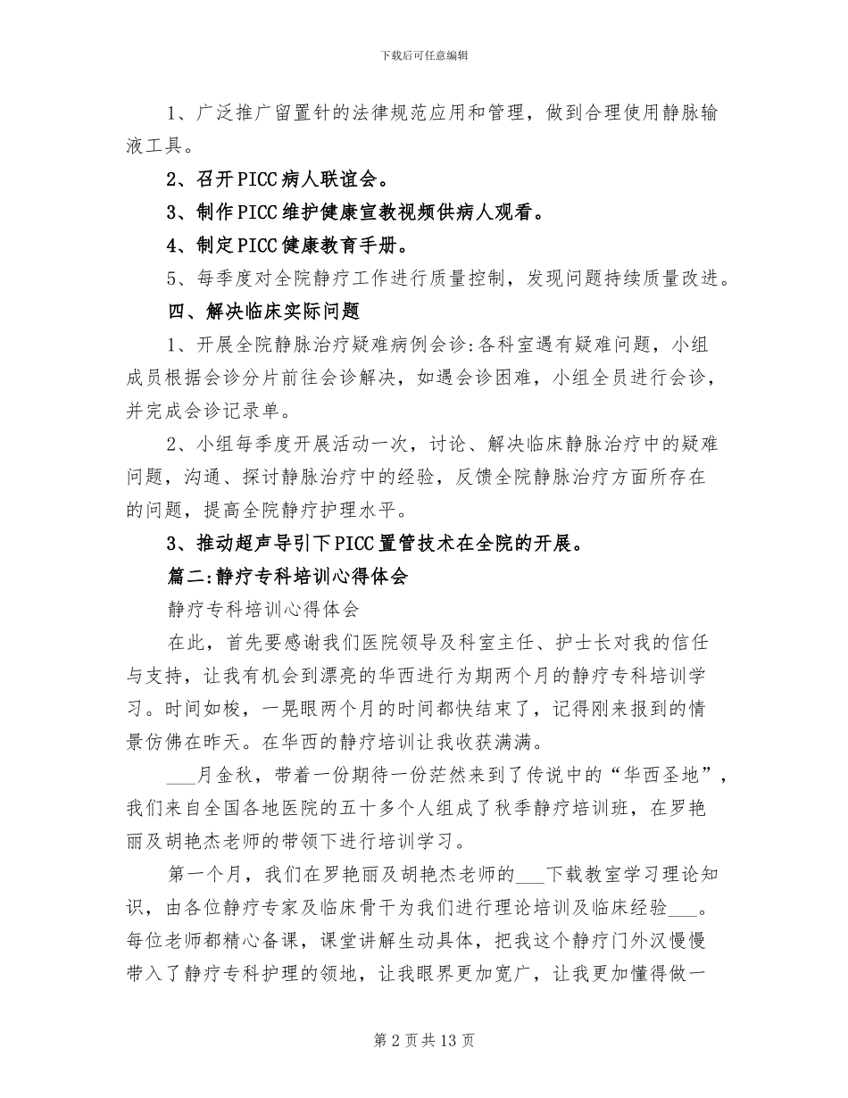 2024年静疗专业工作总结_第2页