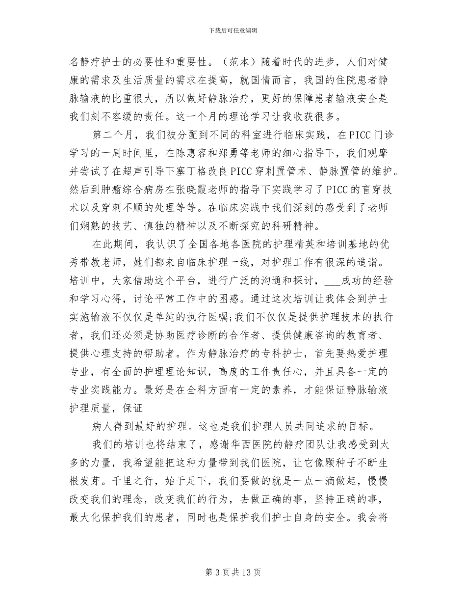 2024年静疗专业工作总结_第3页