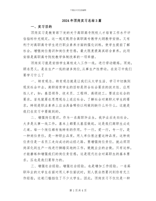 2024年顶岗实习总结3篇
