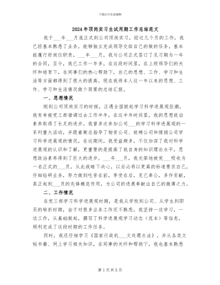 2024年顶岗实习生试用期工作总结范文