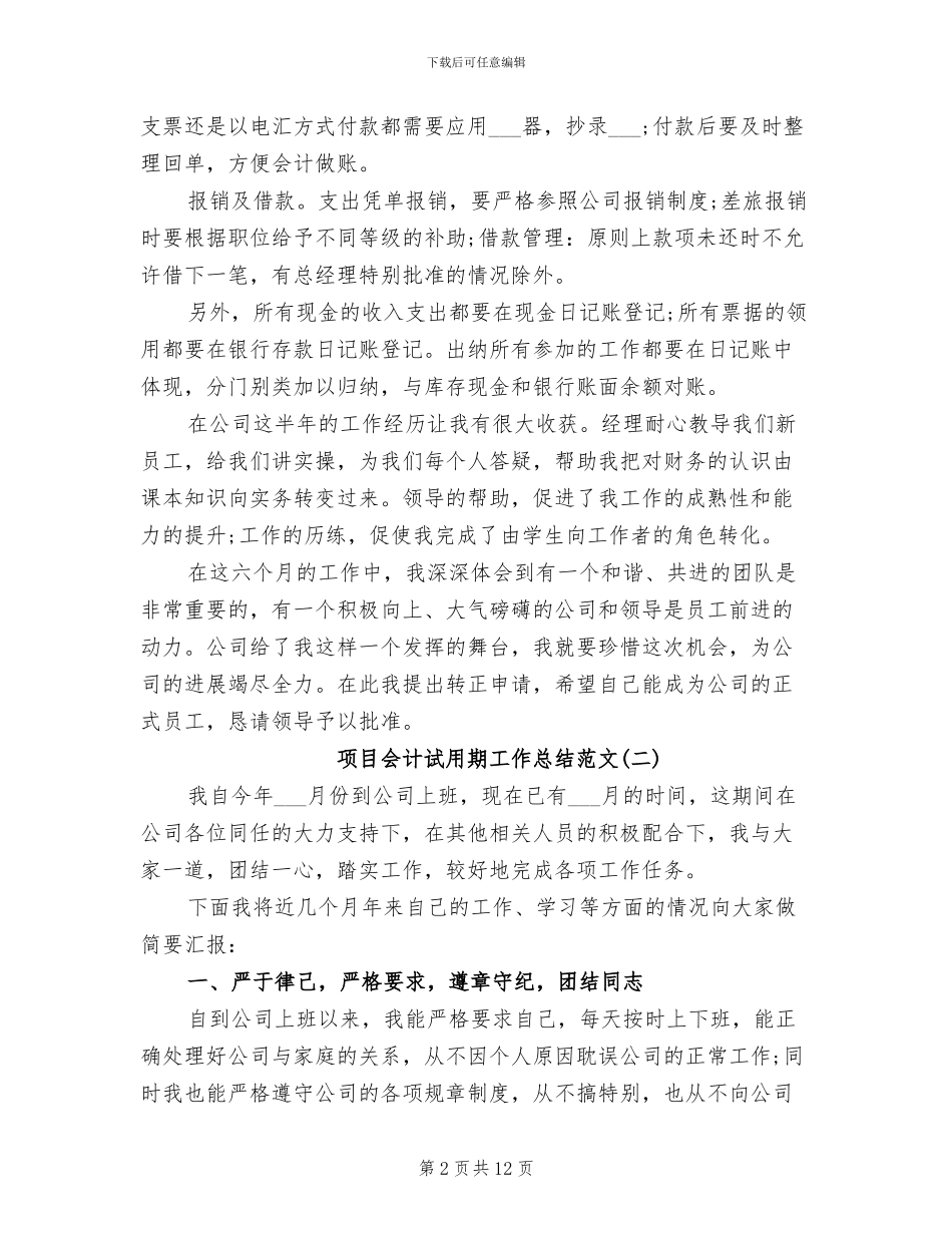 2024年项目会计试用期工作总结_第2页