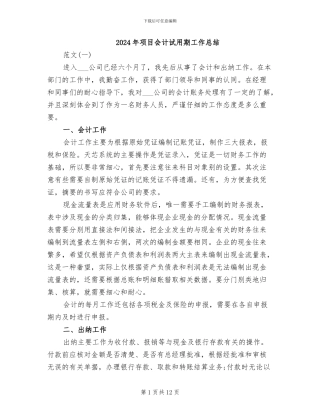 2024年项目会计试用期工作总结