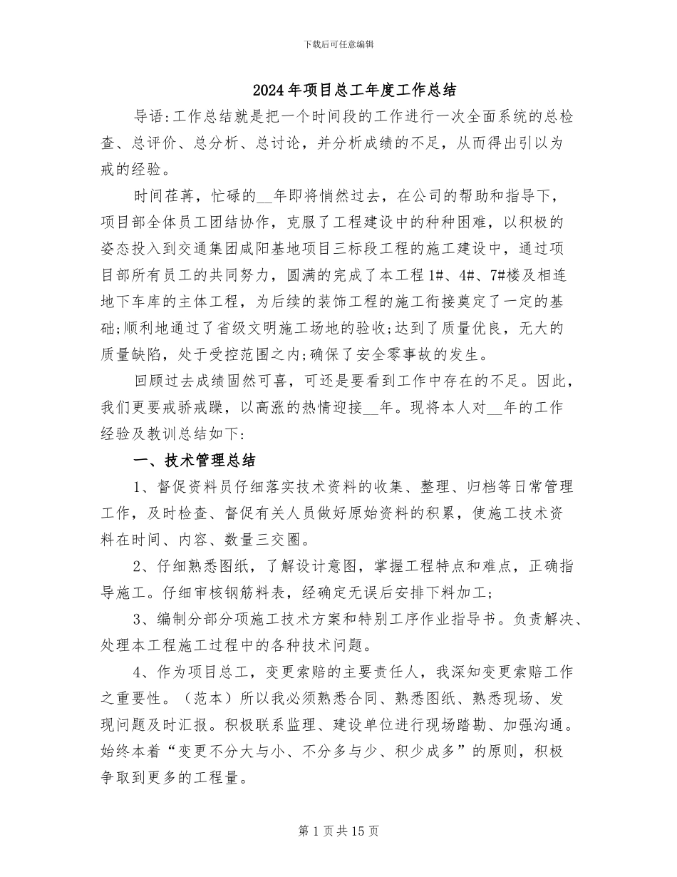 2024年项目总工年度工作总结_第1页