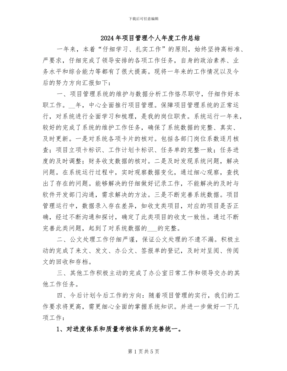 2024年项目管理个人年度工作总结_第1页