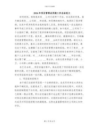 2024年项目管理试用期工作总结范文