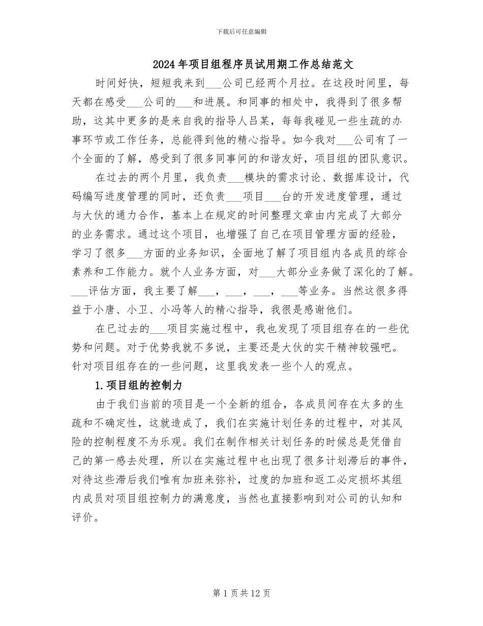 2024年项目组程序员试用期工作总结范文_第1页
