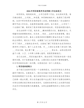 2024年项目组程序员试用期工作总结范文