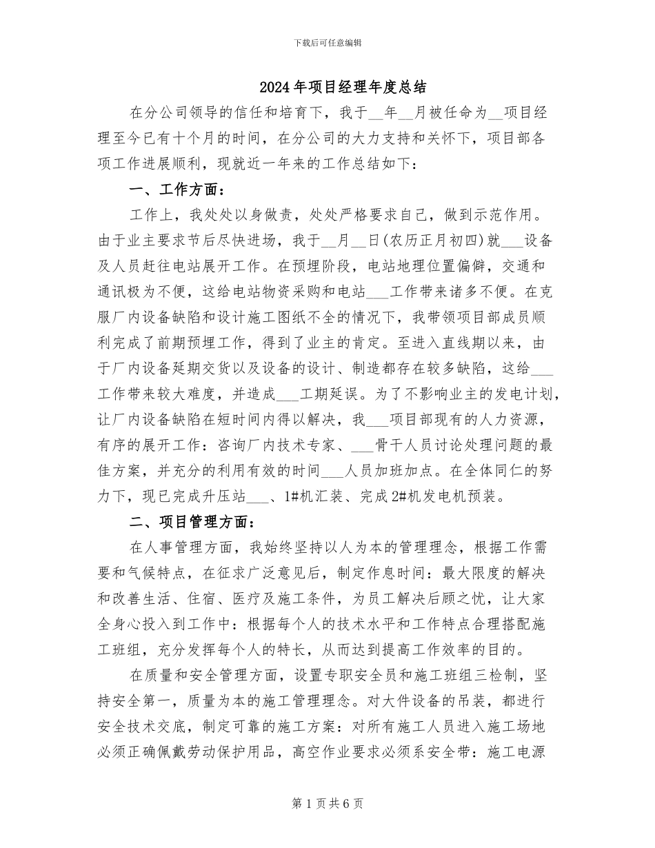 2024年项目经理年度总结_第1页
