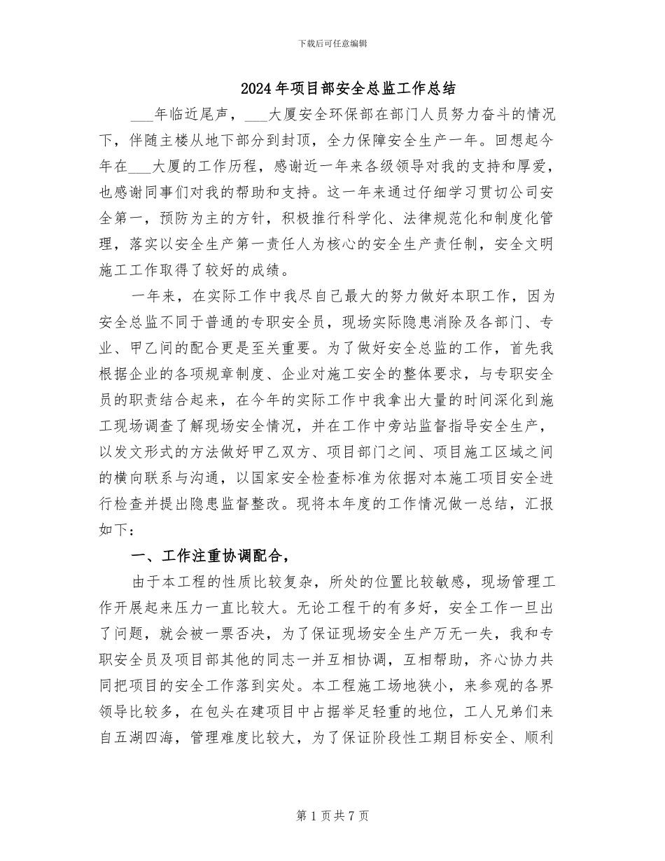 2024年项目部安全总监工作总结_第1页