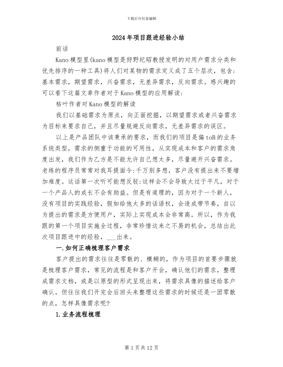 2024年项目跟进经验小结_第1页