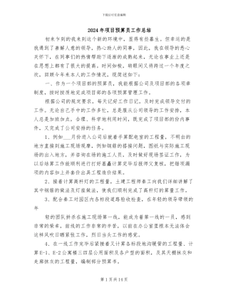 2024年项目预算员工作总结