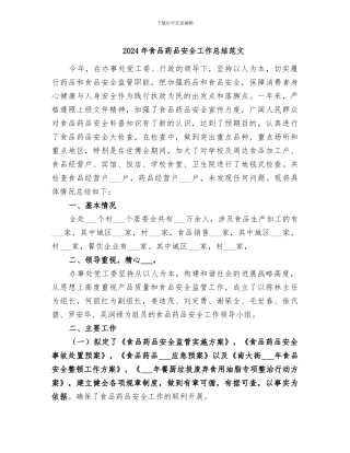 2024年食品药品安全工作总结范文