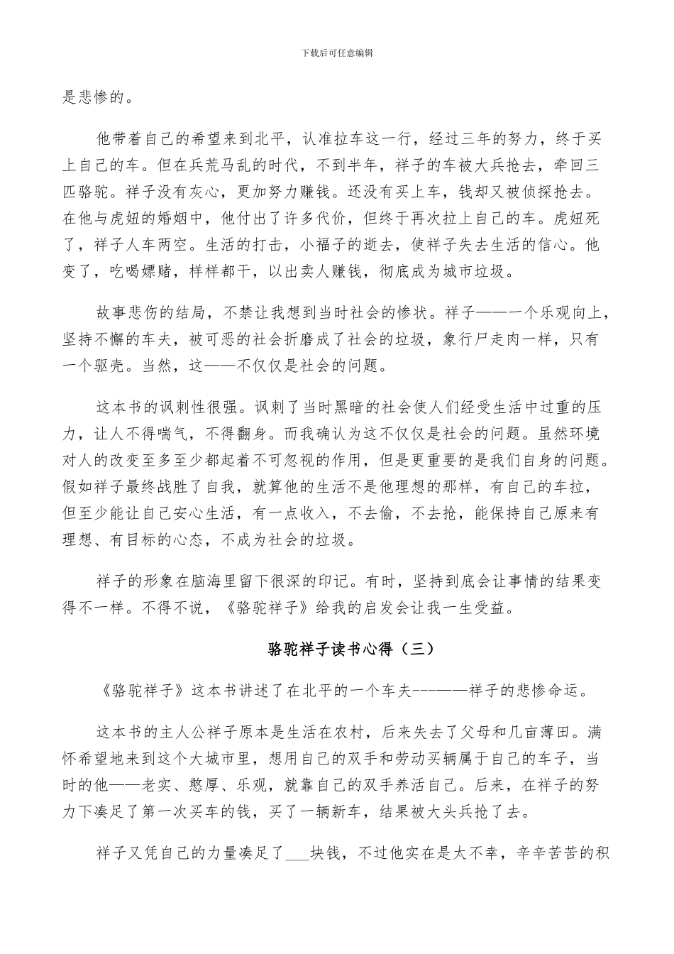 2024年骆驼祥子读书总结范本_第2页