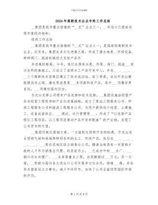 2024年高新技术企业年终工作总结