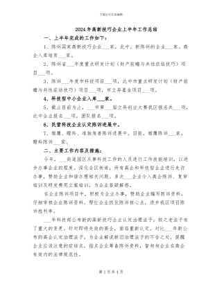 2024年高新技巧企业上半年工作总结