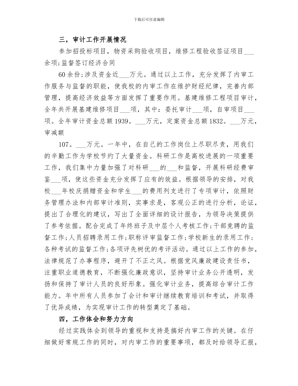 2024年高校审计工作总结_第2页