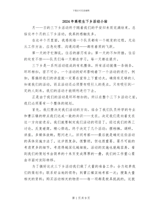 2024年高校生下乡活动小结