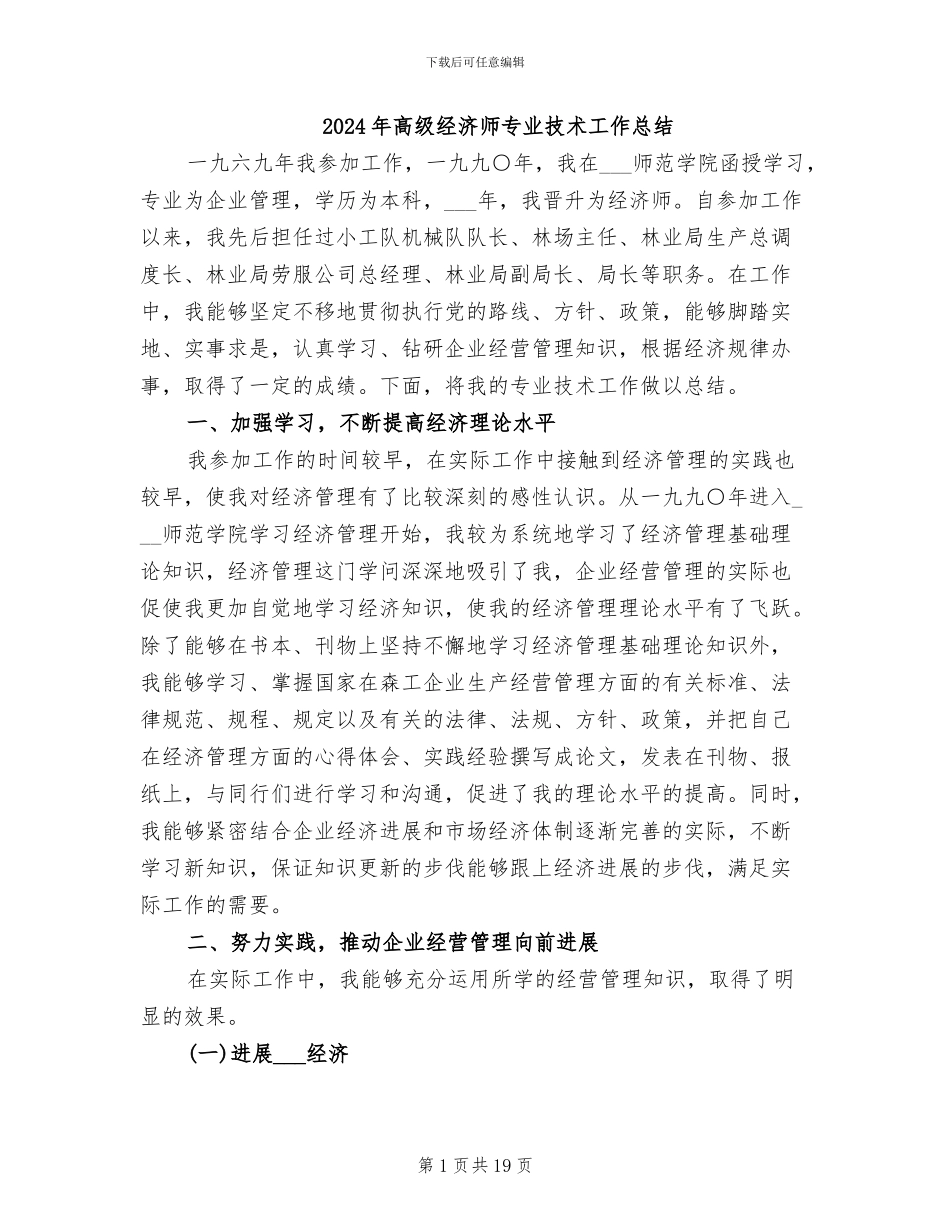2024年高级经济师专业技术工作总结_第1页