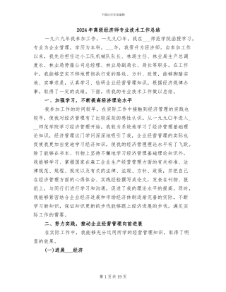 2024年高级经济师专业技术工作总结